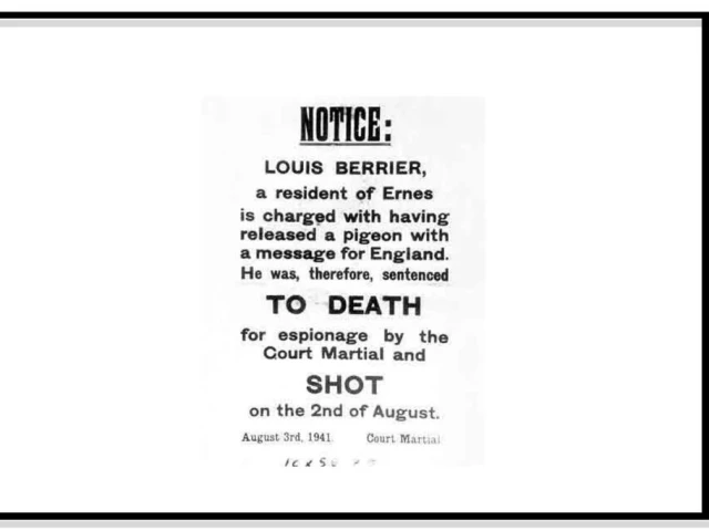 Not all ice creams and music